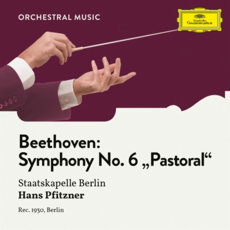 Beethoven: Symphony No. 6 in F Major, Op. 68 "Pastoral" - 3. Lustiges Zusammensein der Landleute - Allegro ft. Hans Pfitzner | Boomplay Music