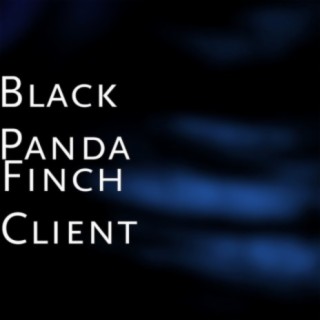 Black Panda