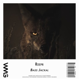 The Bass Jackal