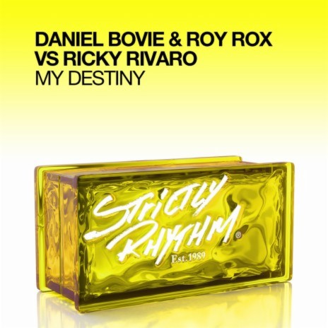 My Destiny (Radio Edit) ft. Roy Rox & Ricky Rivaro | Boomplay Music