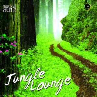 Musical Aura 1 Jungle Lounge