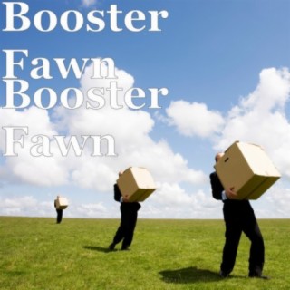 Booster Fawn