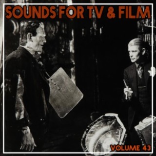 Sounds For TV & Film, Vol. 43