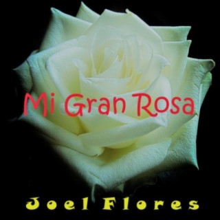 Joel Flores