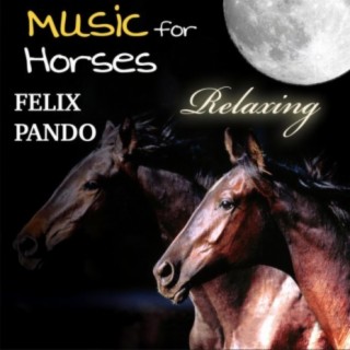 Music for Horses - Relaxing