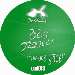 B&S Project
