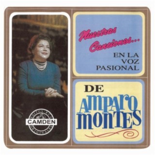 Amparo Montes