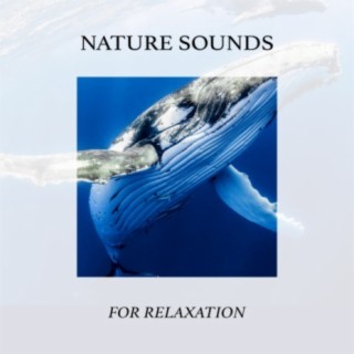 Nature Sounds For Relaxation