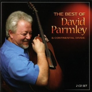 David Parmley
