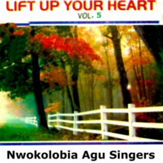 Nwokolobia Agu Singers