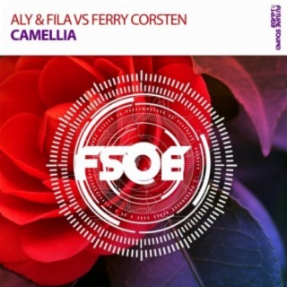 Aly & Fila vs Ferry Corsten