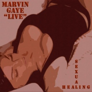 Marvin gaye sexual healing