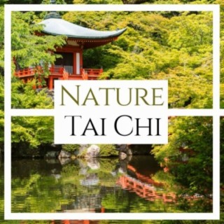 Nature Tai Chi: Music for Elderly Tai Chi Practice in the Park