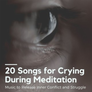 20 Songs for Crying During Meditation: Music to Release Inner Conflict and Struggle