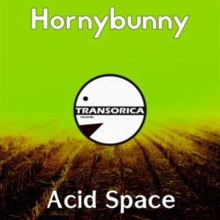 Acid Space