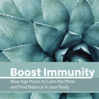 Boost Immunity: New Age Music to Calm the Mind and Find Balance in your Body