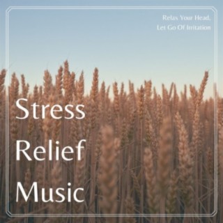 Stress Relief Music: Relax Your Head, Let Go Of Irritation