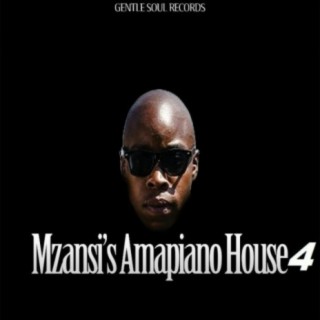 Mzansi's Amapiano House 4