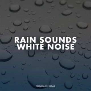 Rain Sounds & White Noise