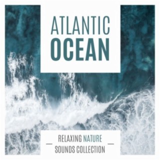 Atlantic Ocean: Relaxing Nature Sounds Collection