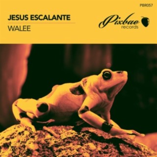 Jesus Escalante