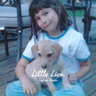 Little Lion