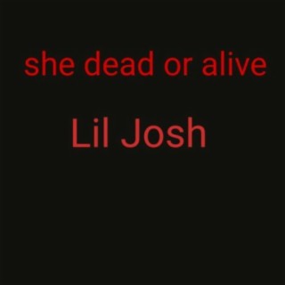 Lil Josh