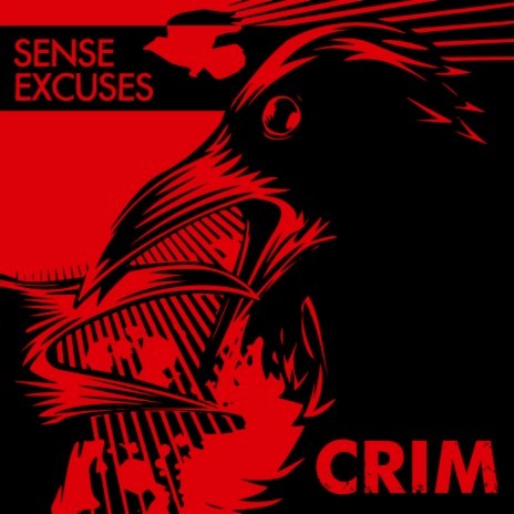 Sense Excuses | Boomplay Music