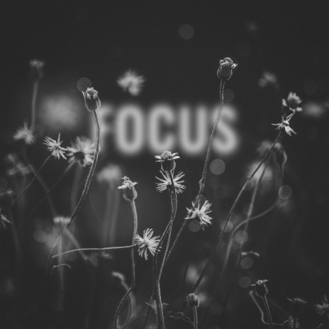 Focus ft. Lena Leon
