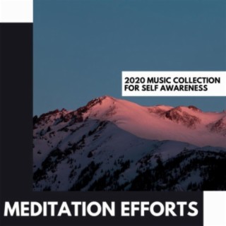 Meditation Efforts: 2020 Music Collection for Self Awareness