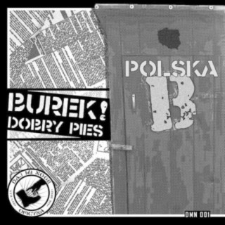 Polska B