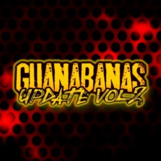 Guanabanas