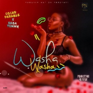 Washa Washa ft. Seba Tommy lyrics | Boomplay Music