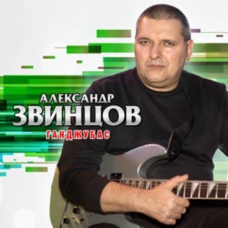 Александр Звинцов