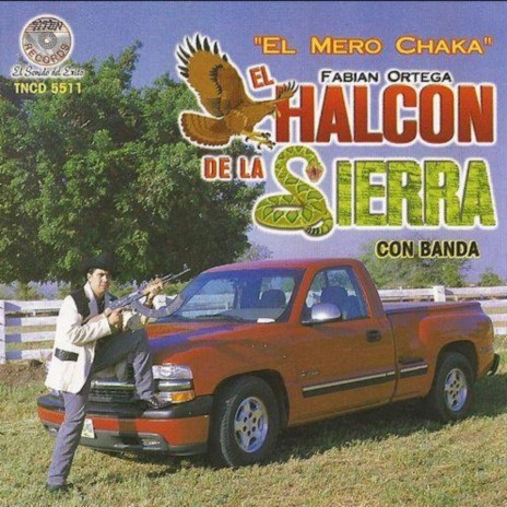 El Gallo De Sinaloa