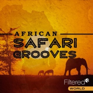 Safari Grooves
