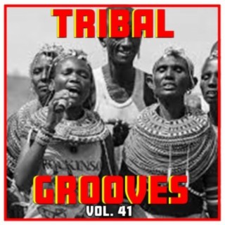Tribal Grooves, Vol. 41