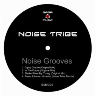 Noise Grooves