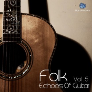 Echoes of Guitar Vol, 5