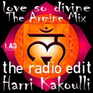 Love So Divine Armine Mix Radio Edit