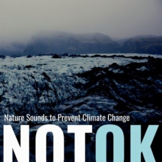 Not OK: Nature Sounds to Prevent Climate Change