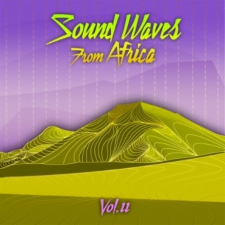 Sound Waves From Africa Vol.11