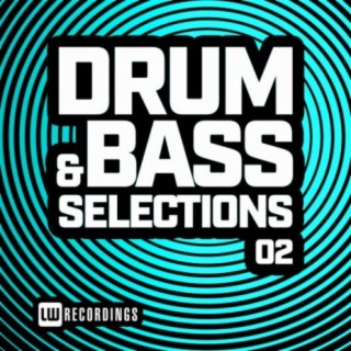 Drum & Bass Selections, Vol. 02
