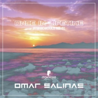 Once In A Lifetime (Stereosoulz Remix)