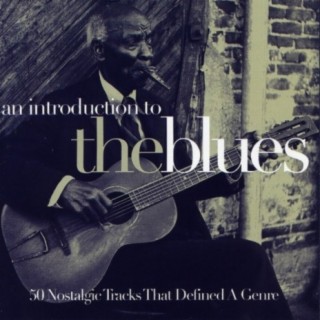 An Introduction To The Blues Vol, 2