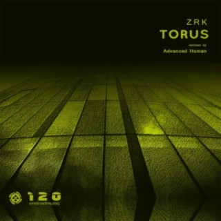 Torus