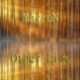 Other Life (Emotional Mix)