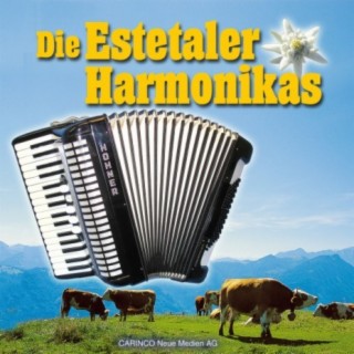 Estetaler Harmonikas