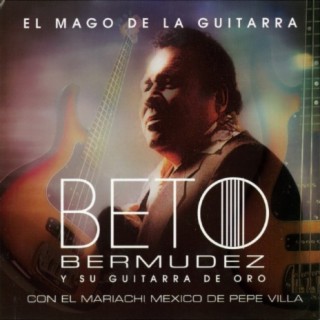 Beto Bermudez