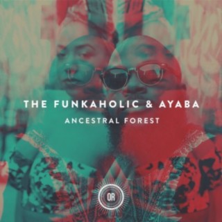 Funkaholic
